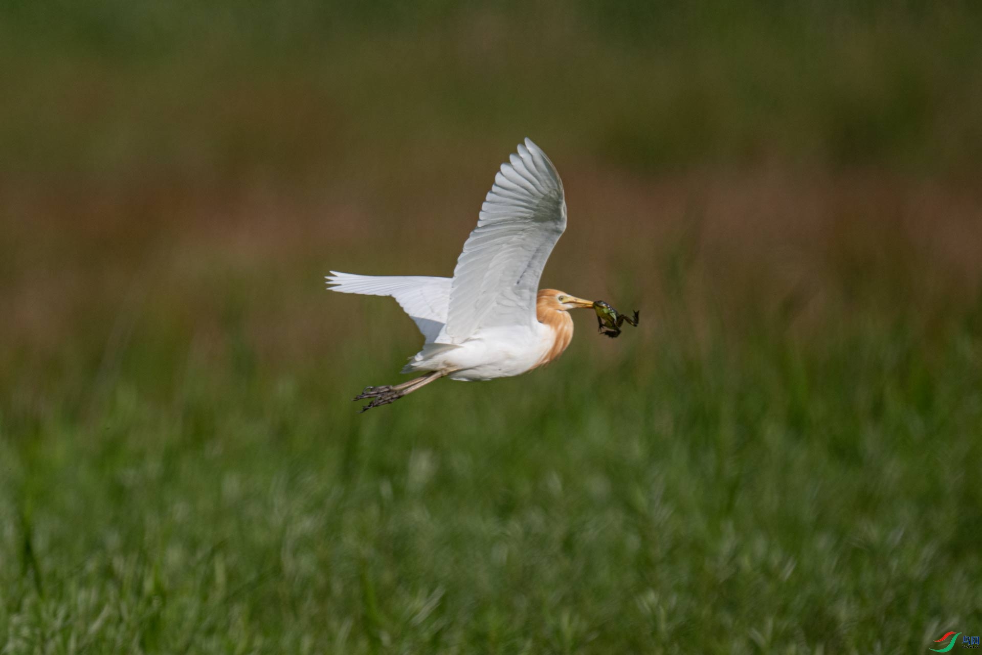 _DSC7040-1x24.jpg