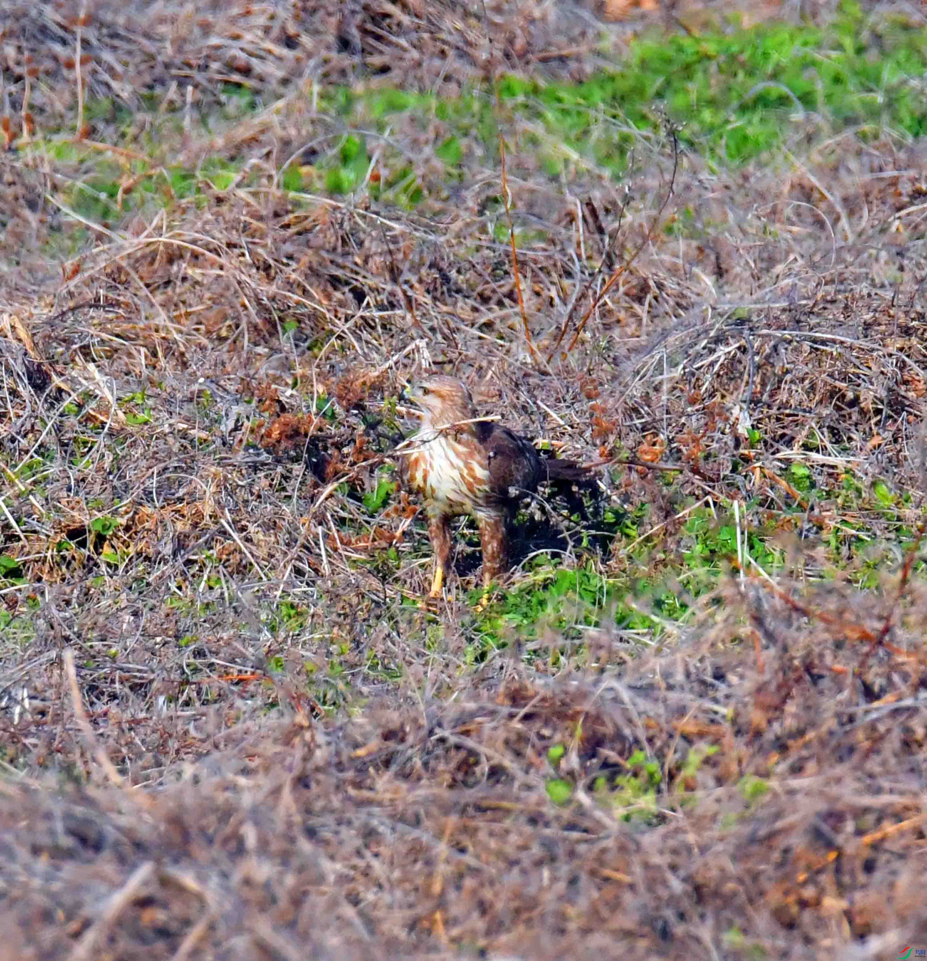 DSC_7941.JPG
