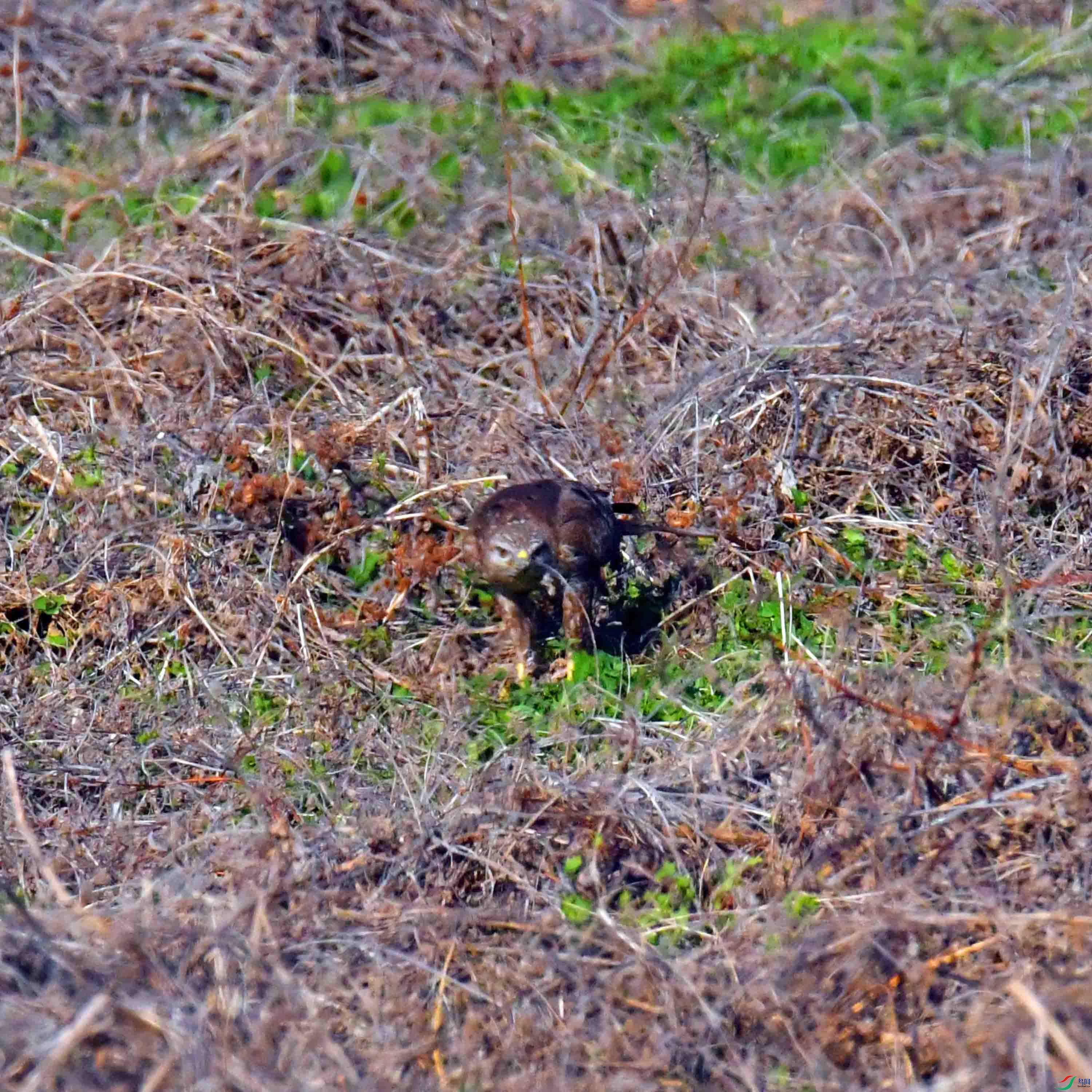 DSC_8005.JPG