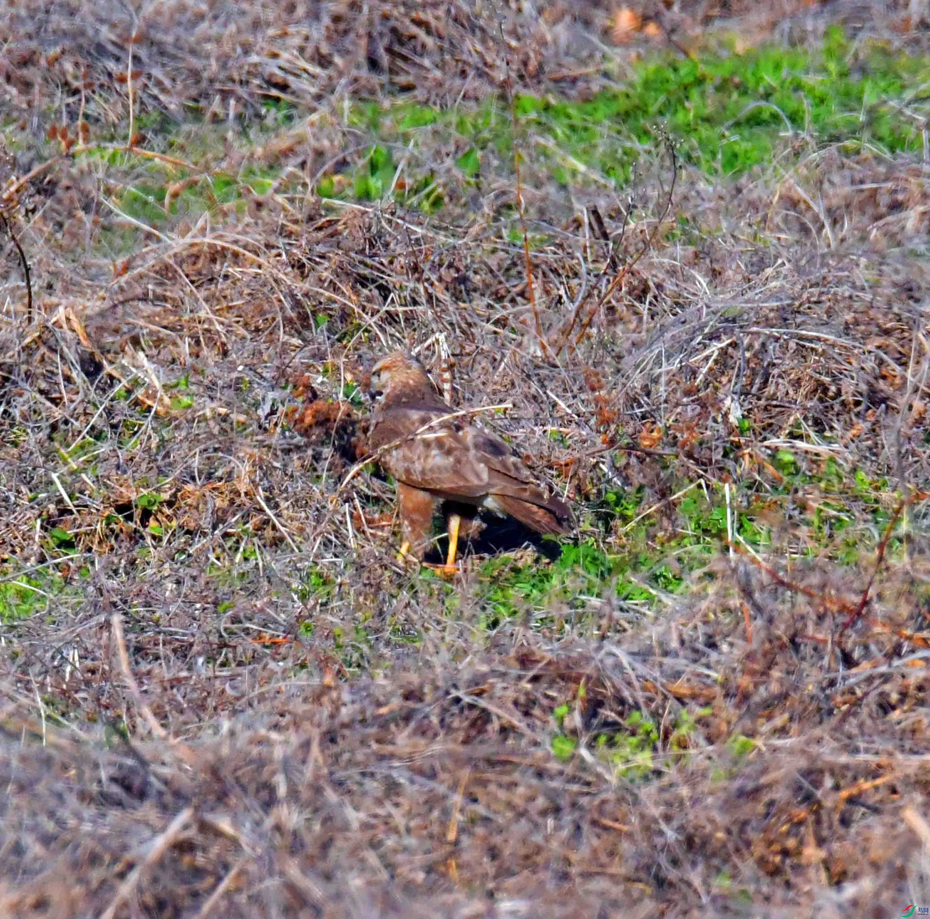 DSC_8076.JPG