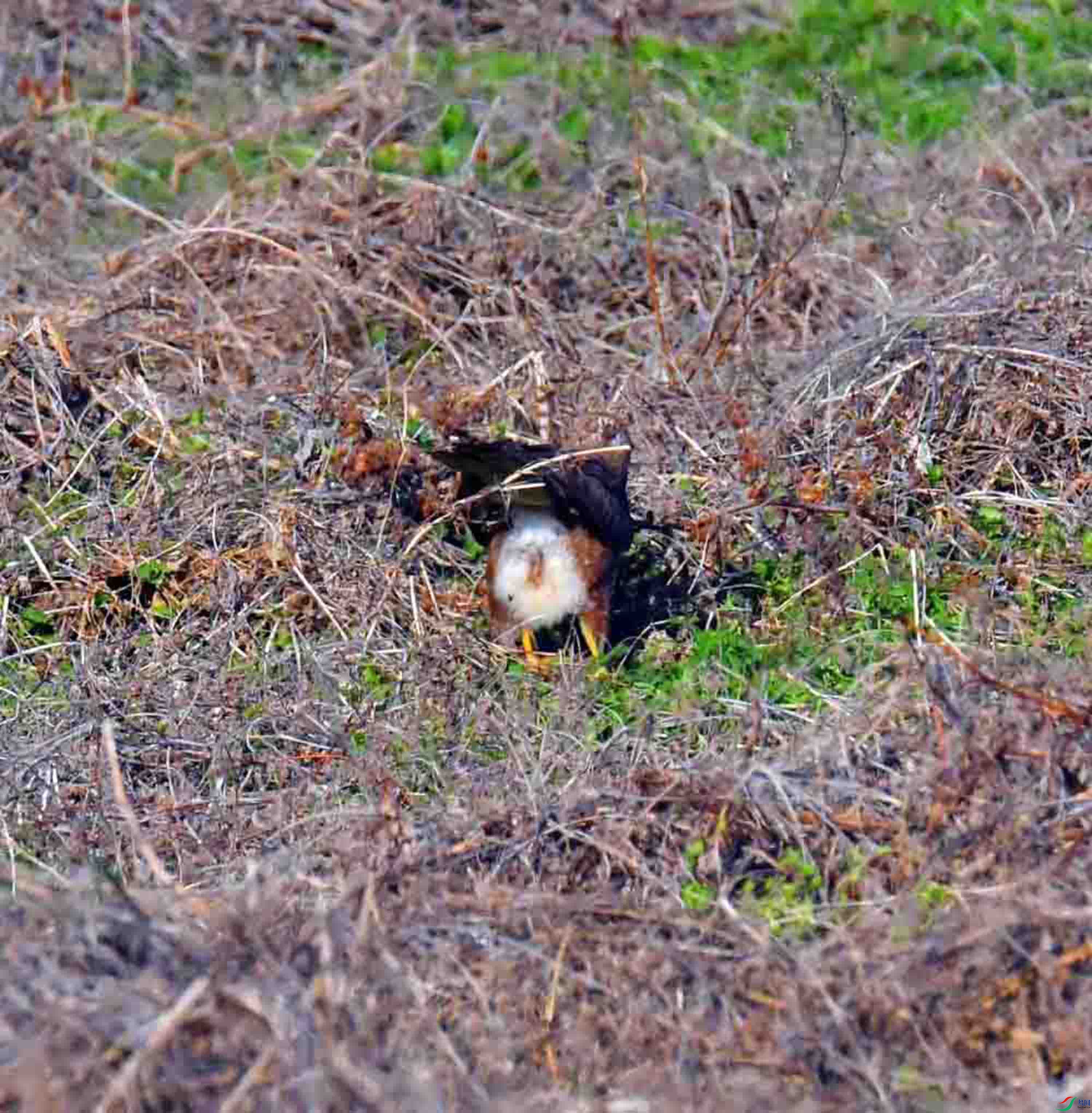 DSC_8086.JPG