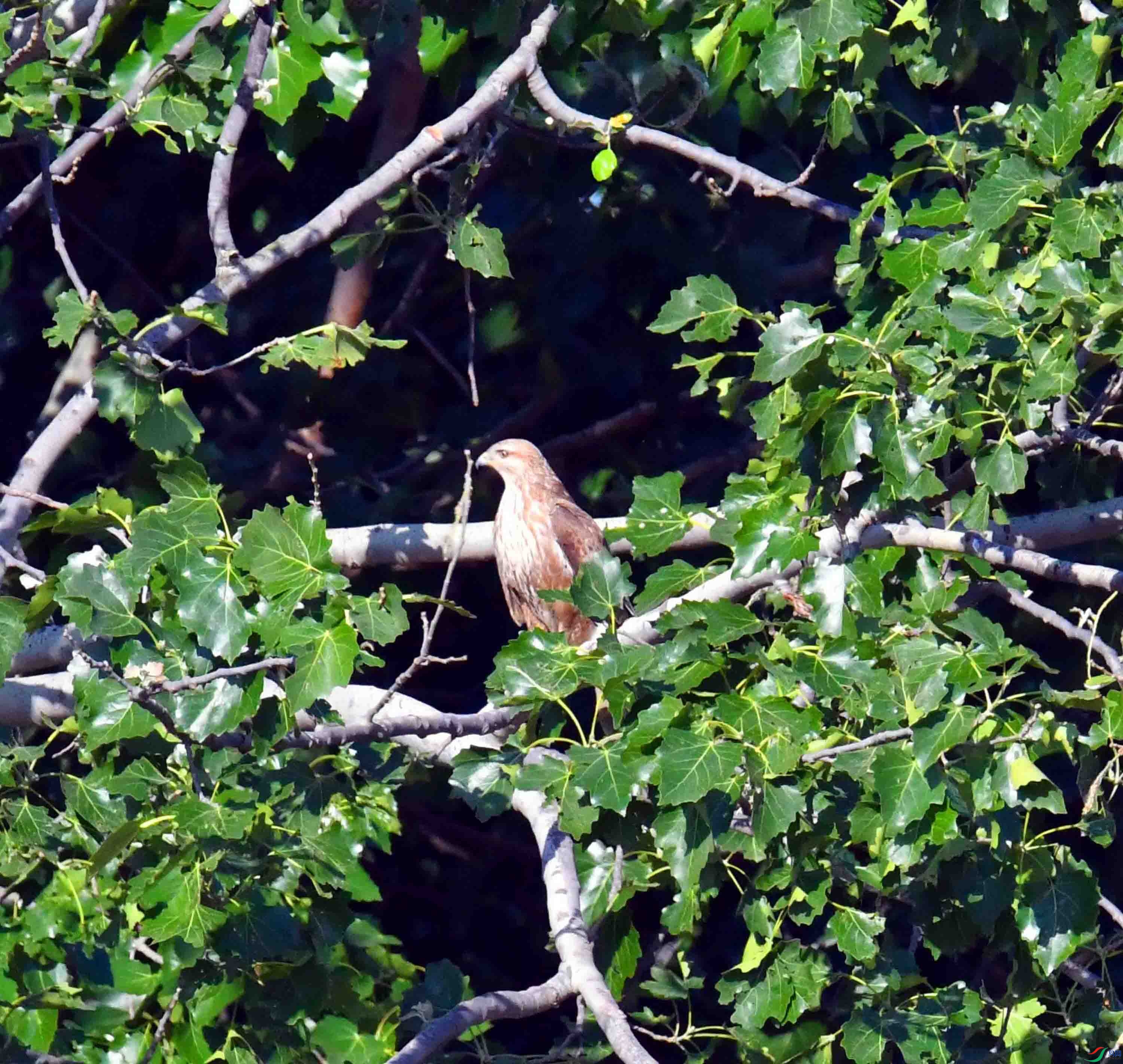 DSC_8116.JPG