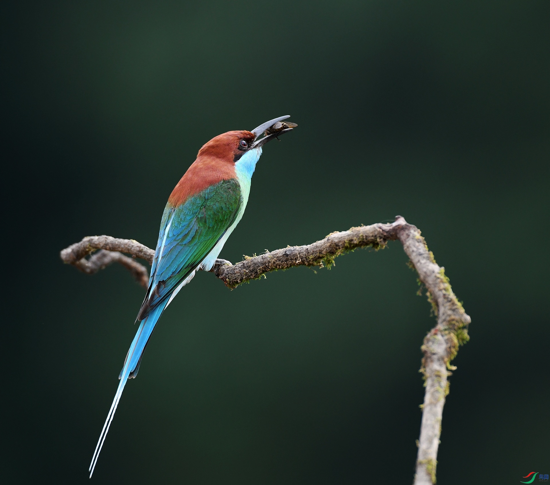 DSC_7748.jpg