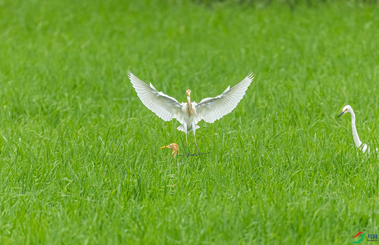 _C2A4895 ����.jpg