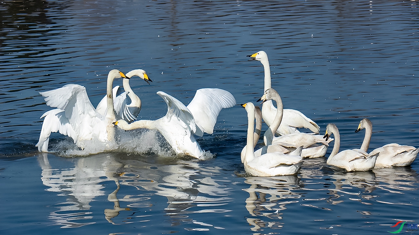 _DSC7356=.jpg