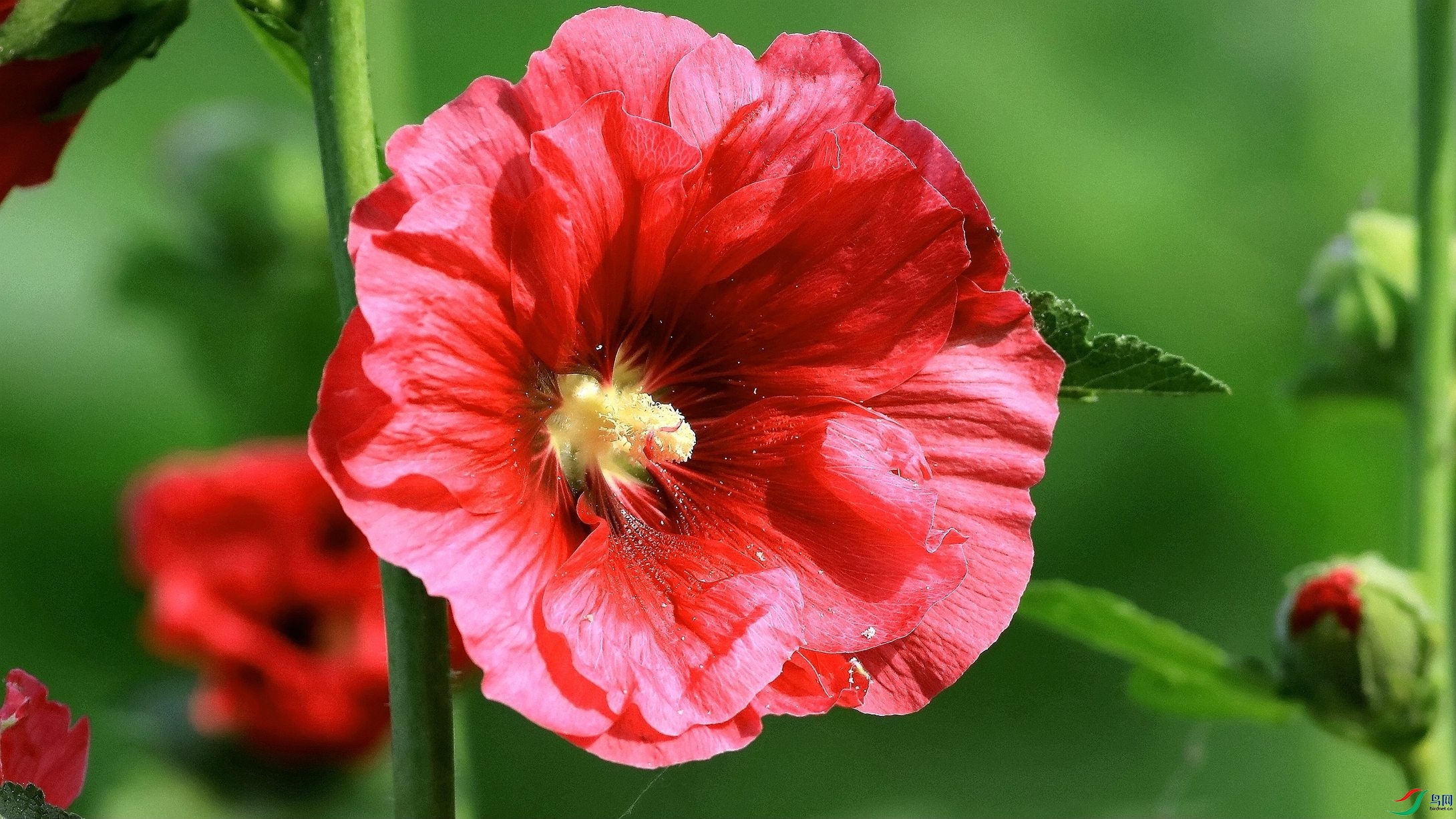 о��ŭ�š������