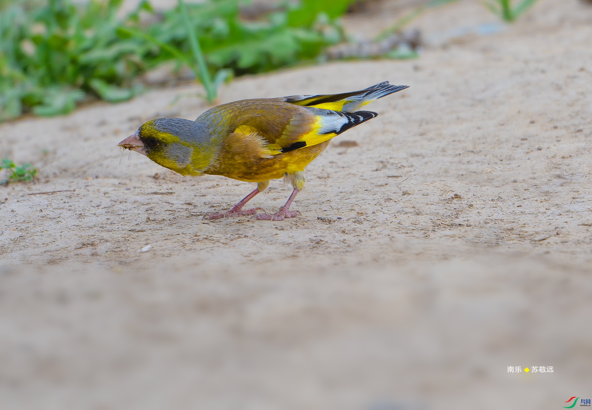 20250430-_DSC3165С.jpg