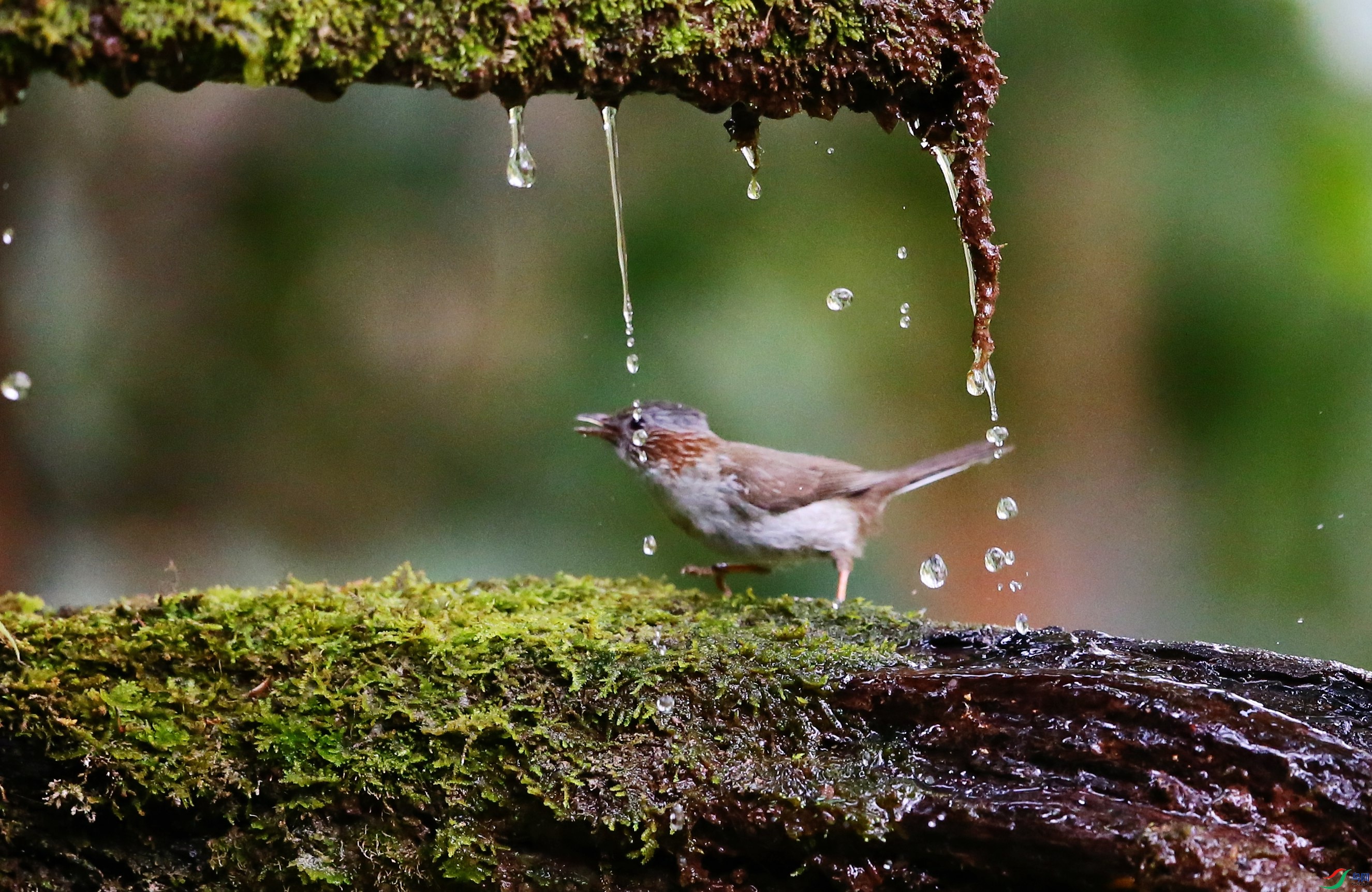 �������� (12).JPG