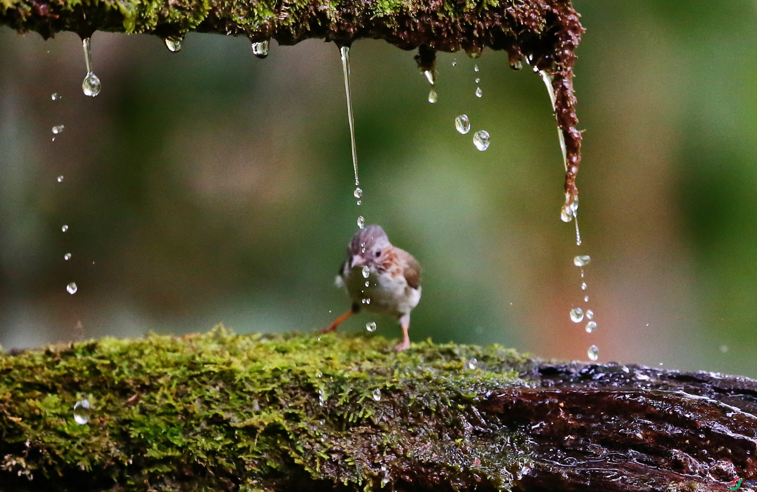 �������� (14).JPG