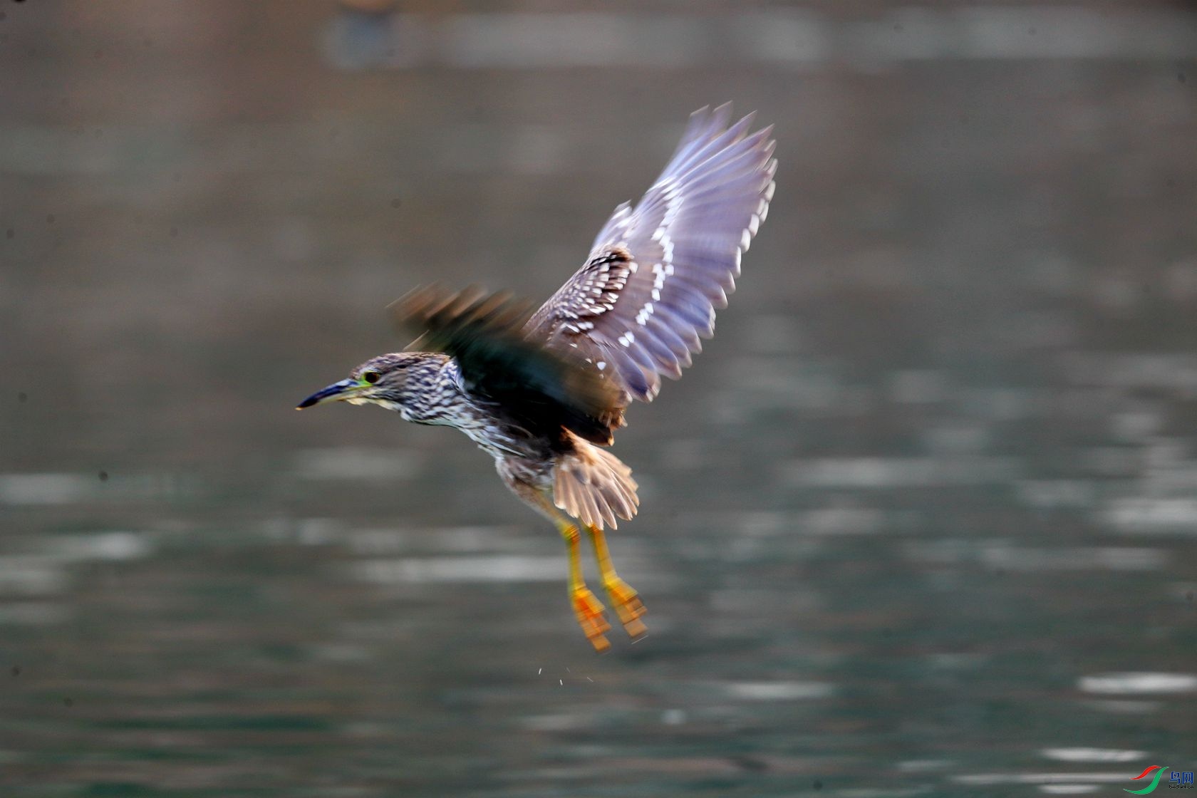104ѹ��.jpg