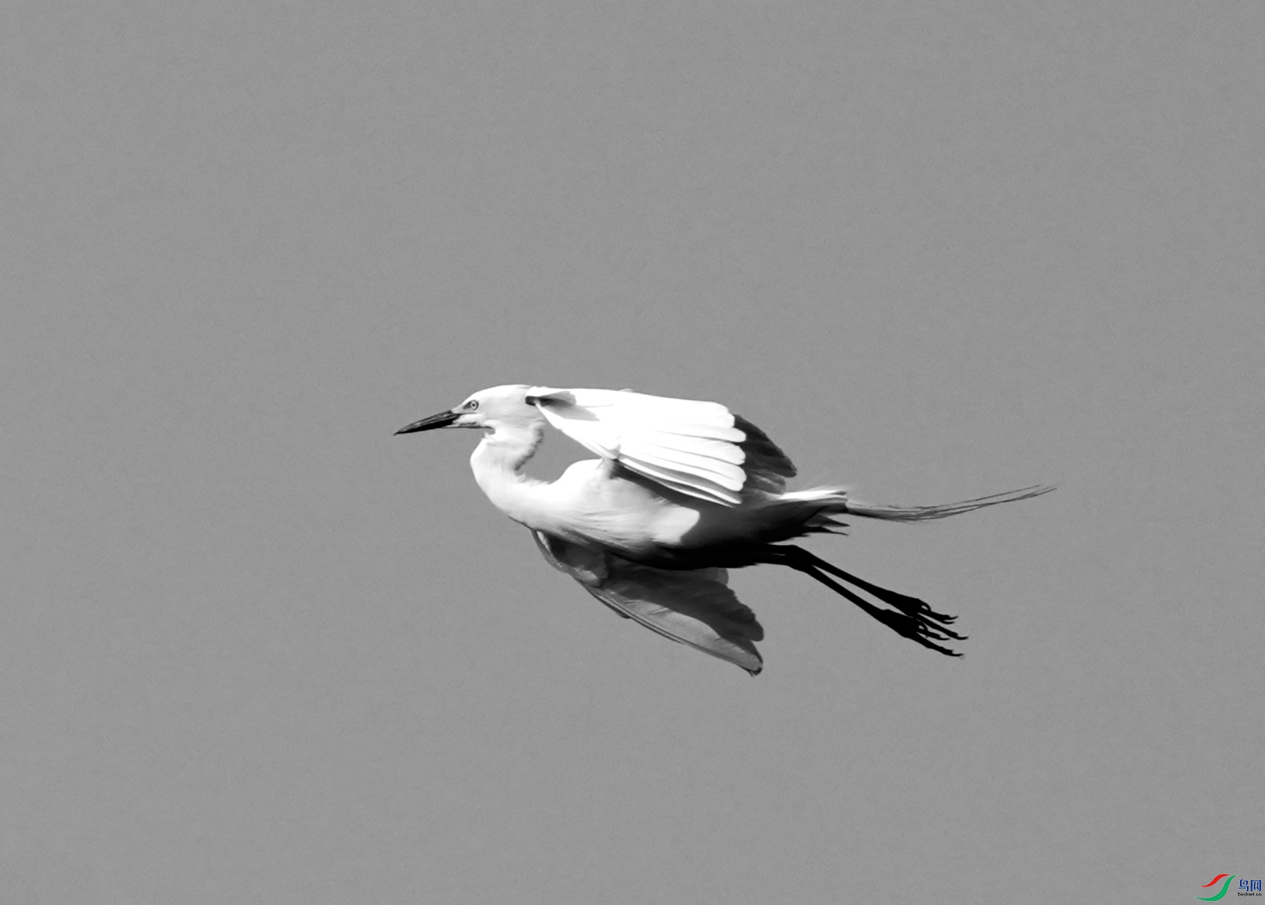 DSC07565_01_01.JPG