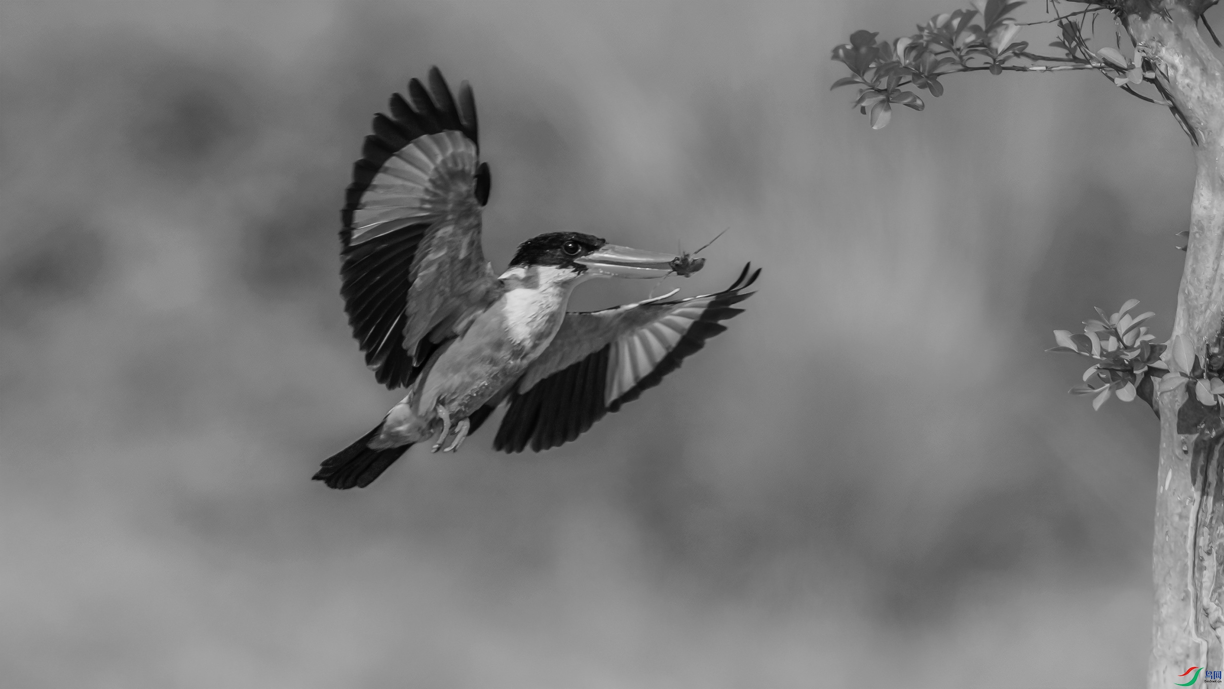 AE1V3952 ����1.jpg