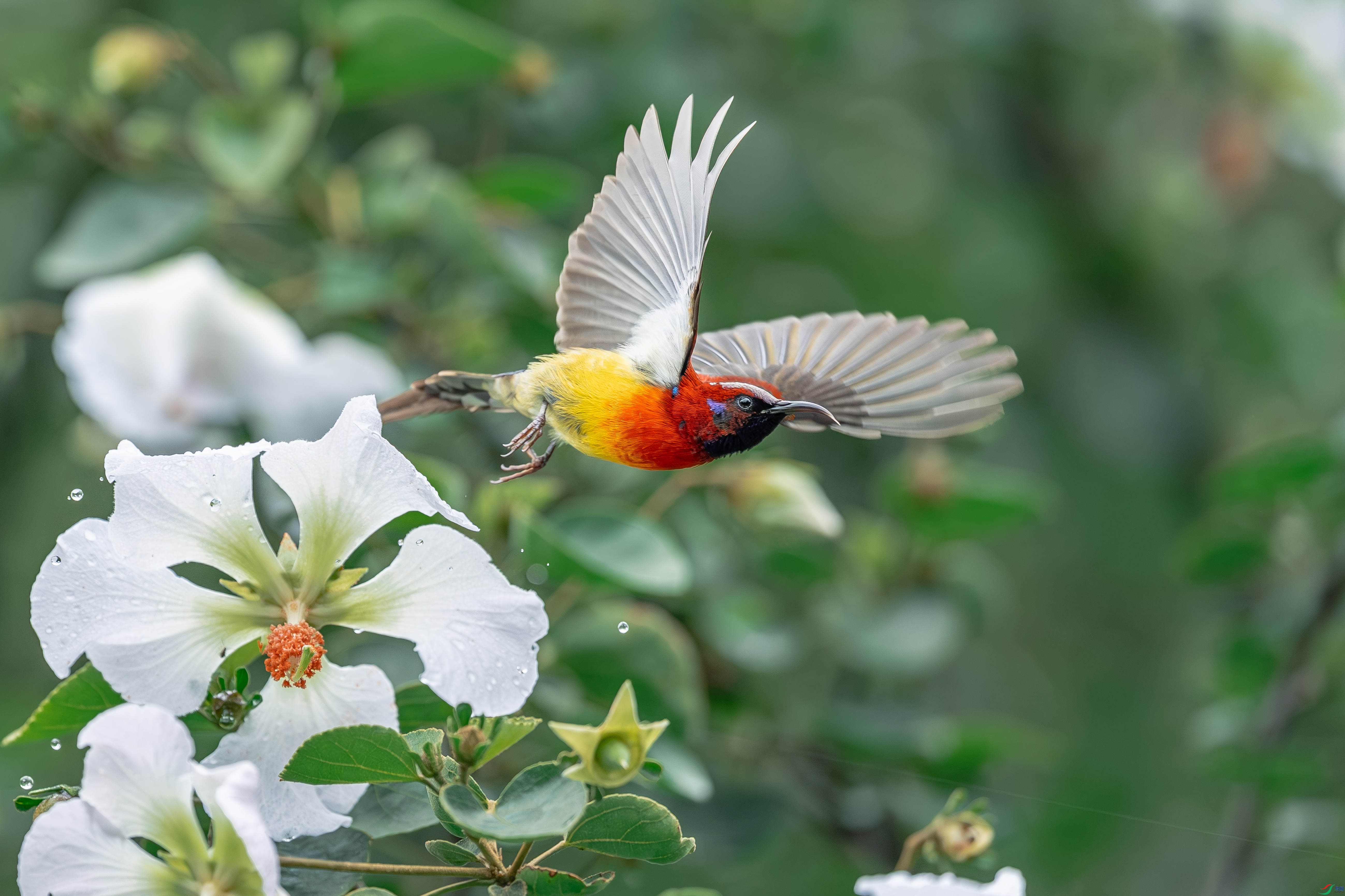 ѩ���.jpg