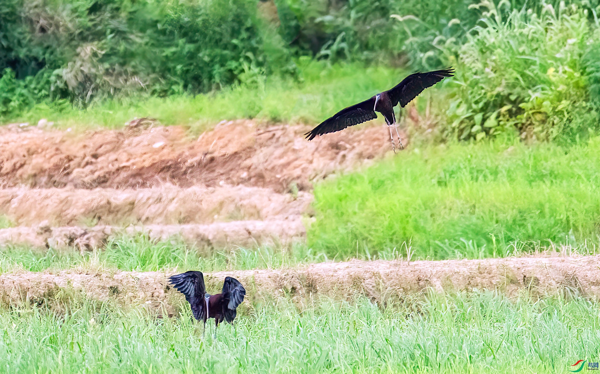 060A3722 ����-Sh----00-Sh----1 .jpg