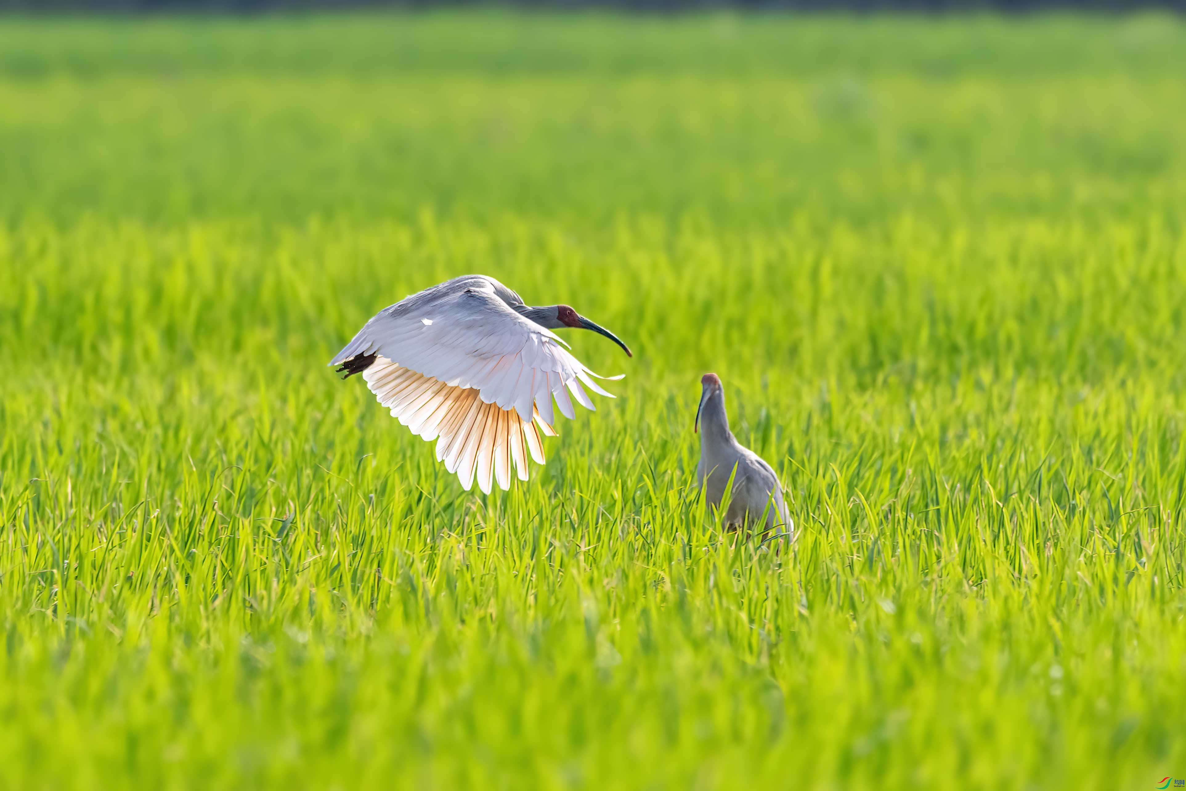 DSC_1241 ����.jpg