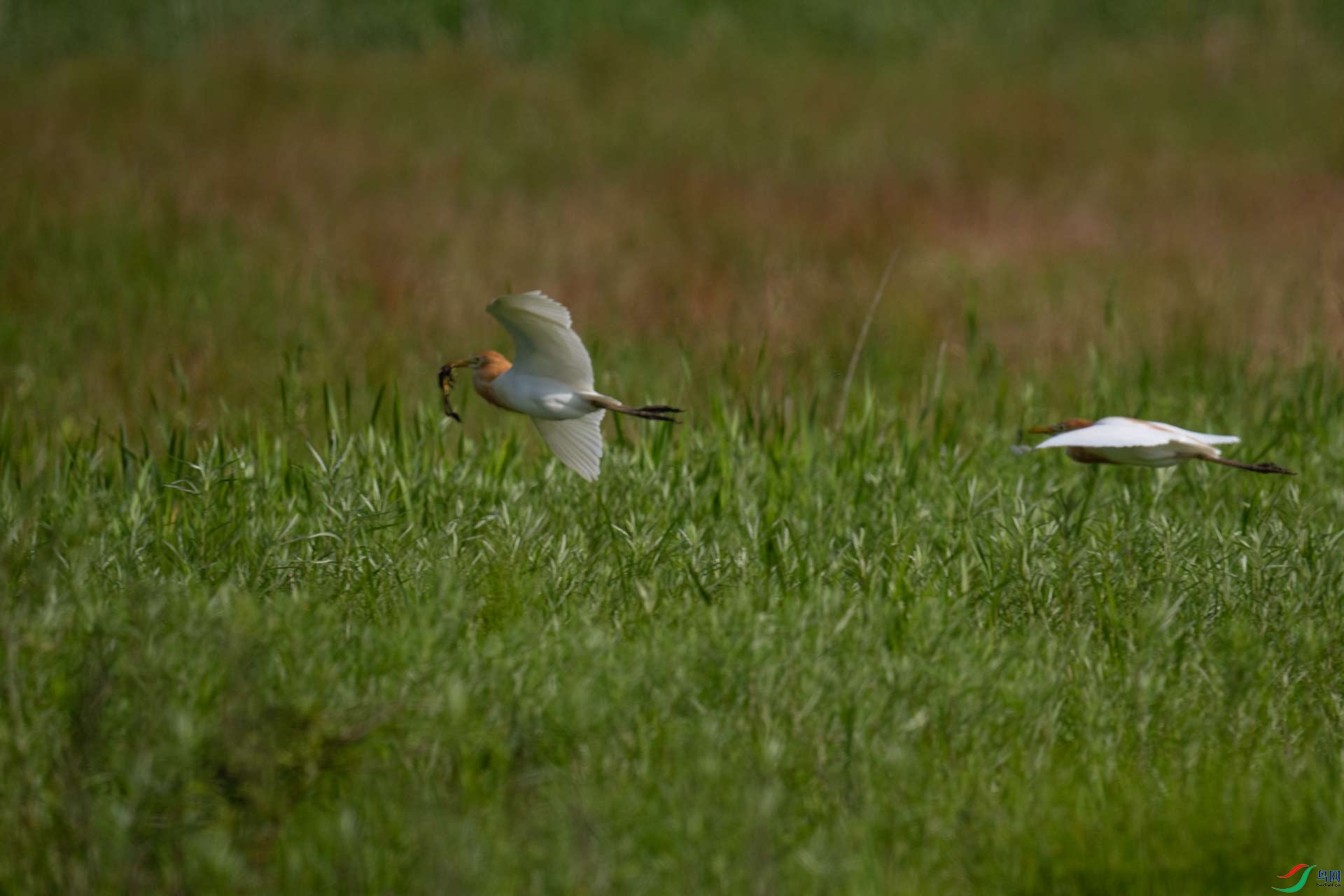 _DSC7003-1x5.jpg