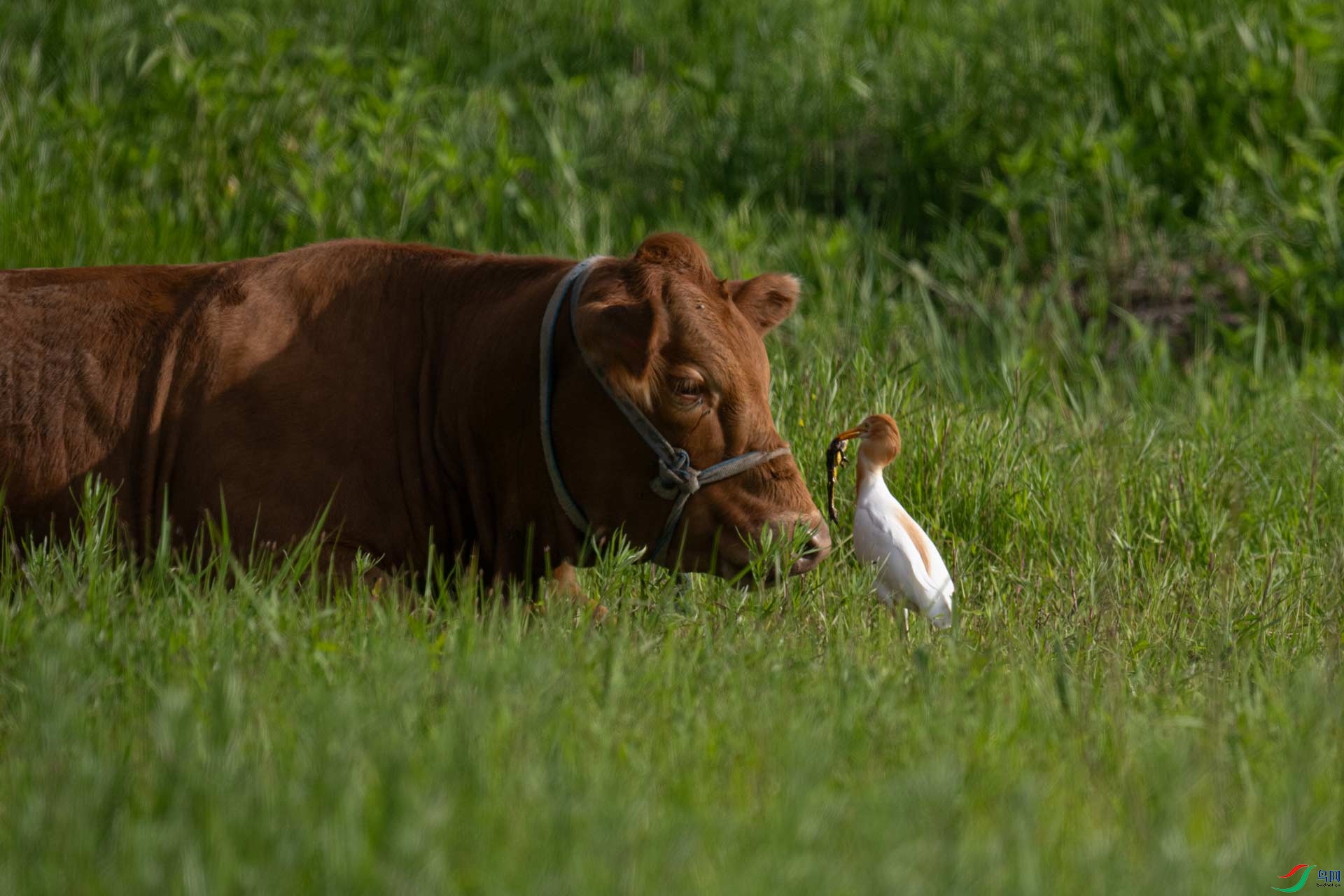_DSC7074-1x29.jpg