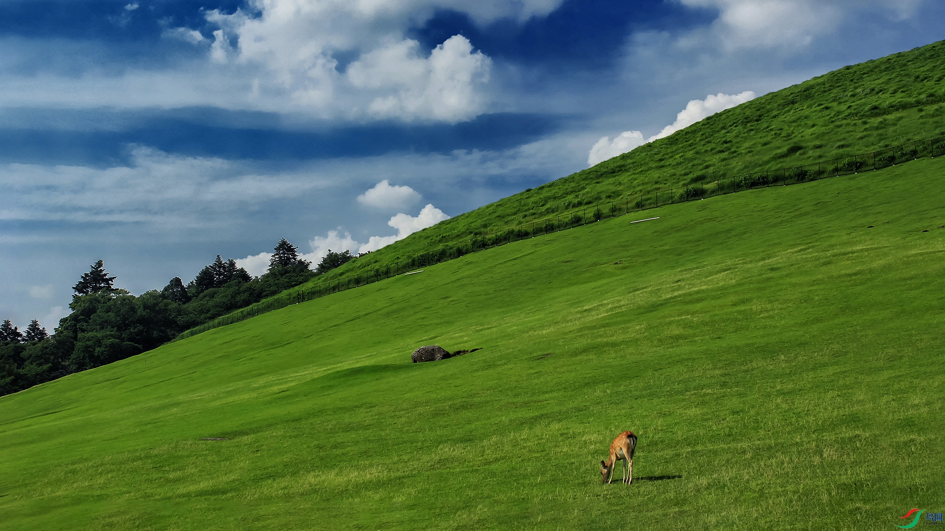 IMG_7171-1-20210823-2��.jpg