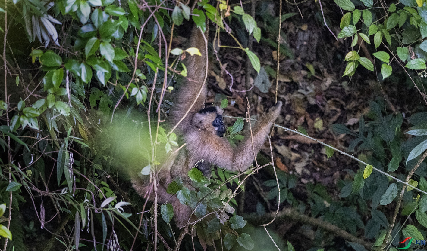 DSC_0641 ����.jpg