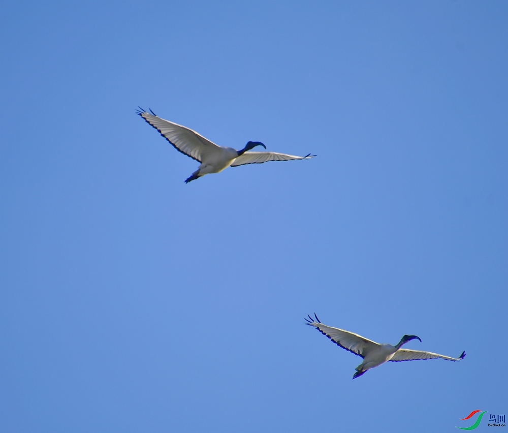 DSC_3628.JPG