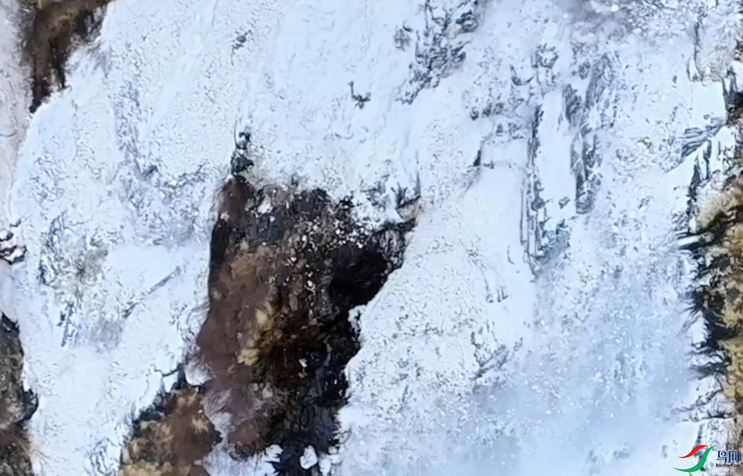 ����2025-06-20 09.29.16.png