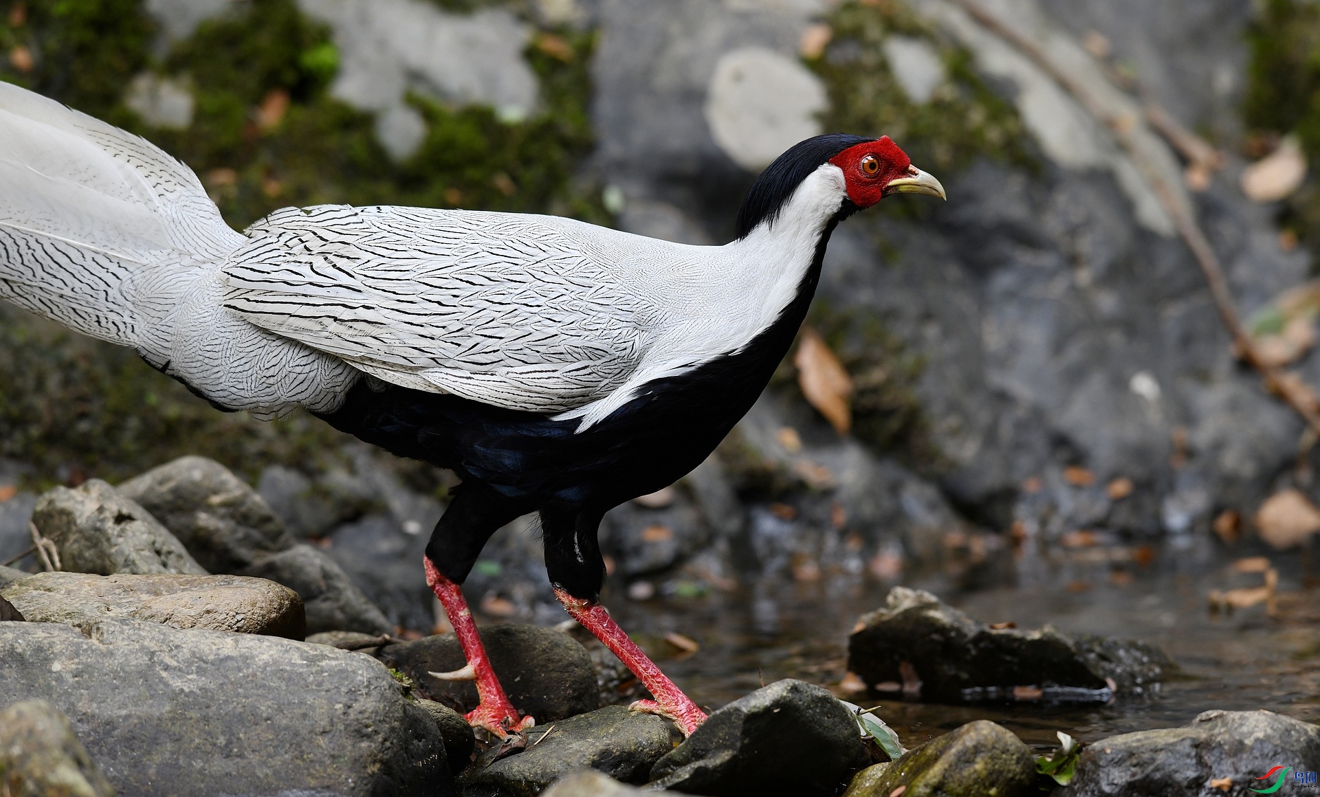 DSC_6254.jpg