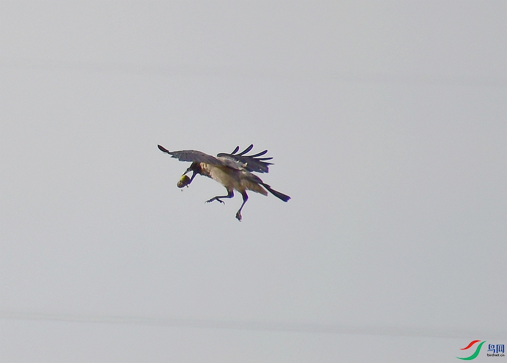 DSC_3677.JPG