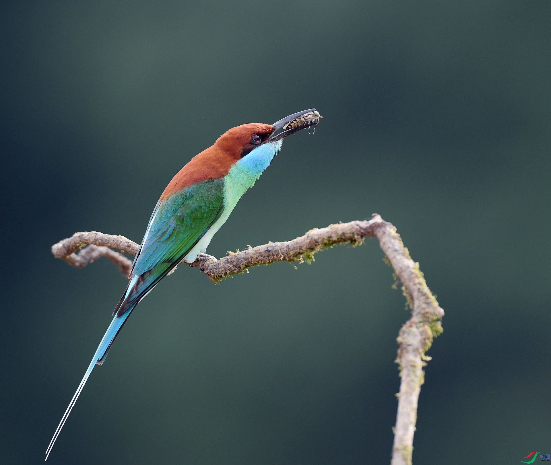 DSC_7778.jpg