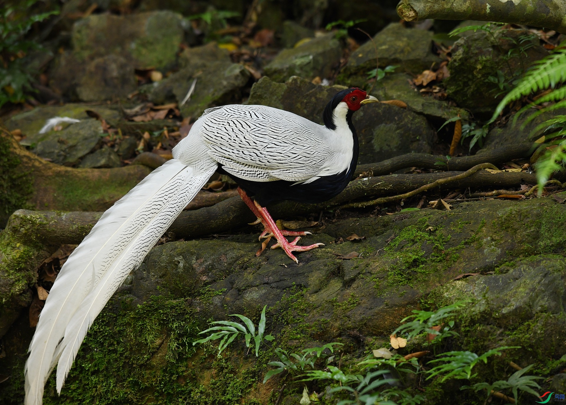 DSC_6763.jpg