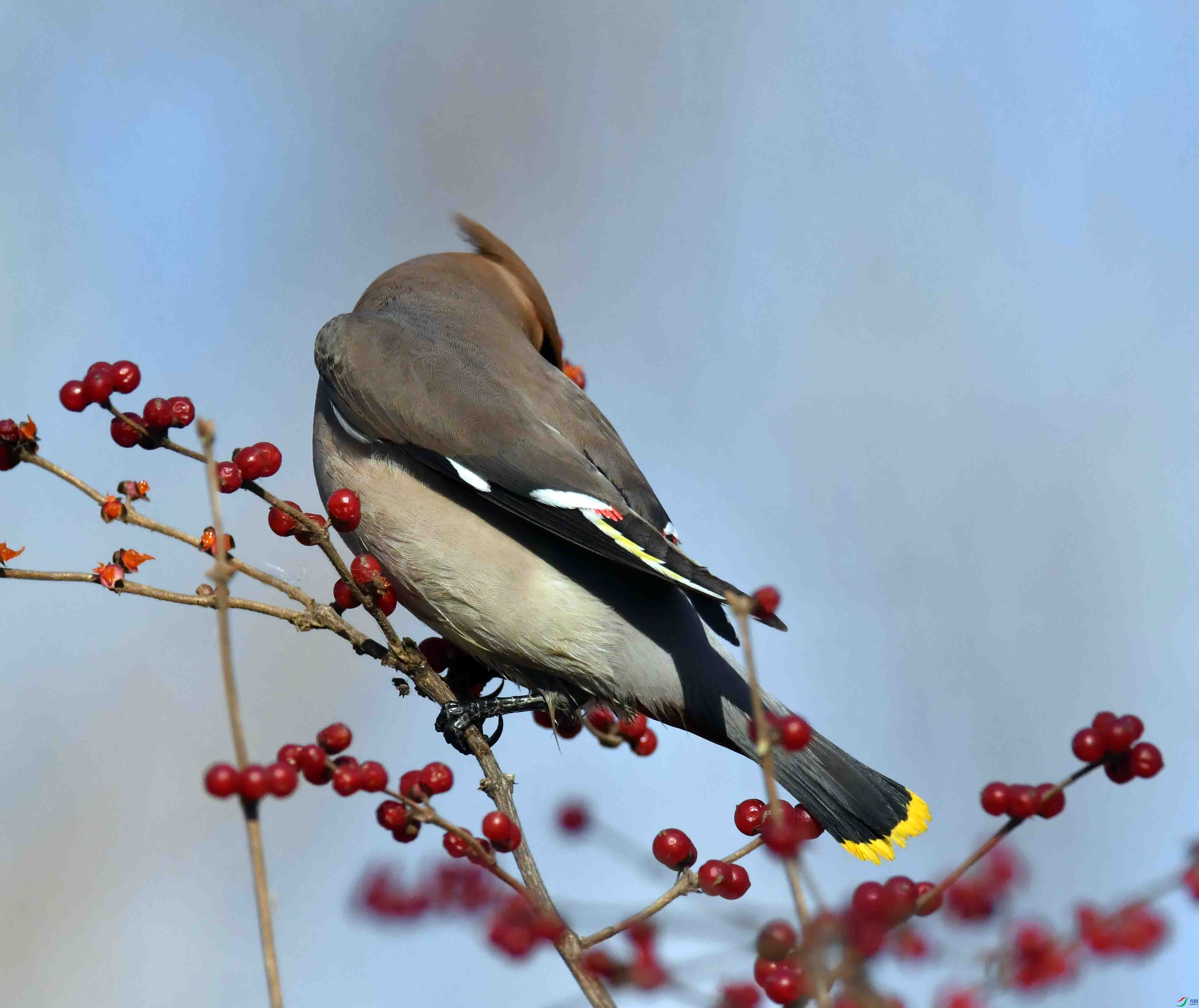 DSC_8647.JPG