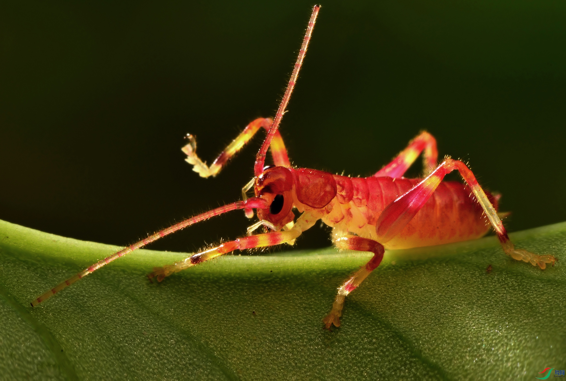 DSC_8039 ����.jpg