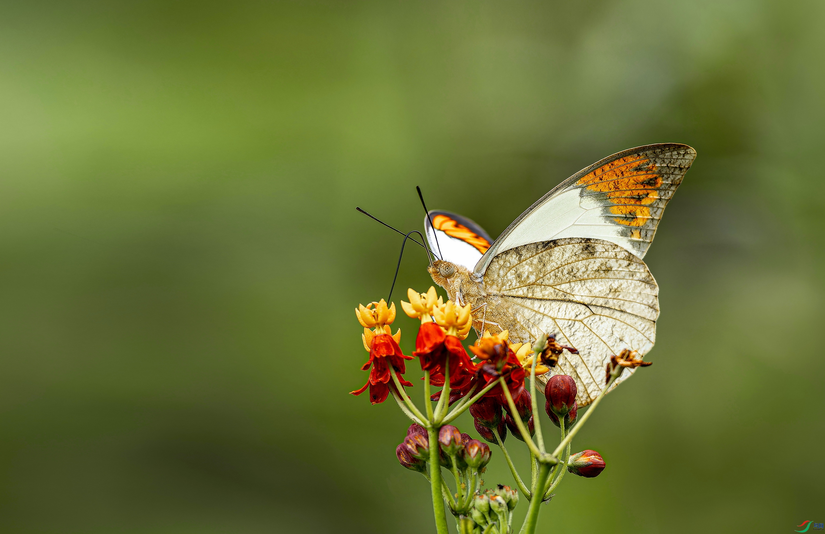 �׶��۵� (1)-1.jpg