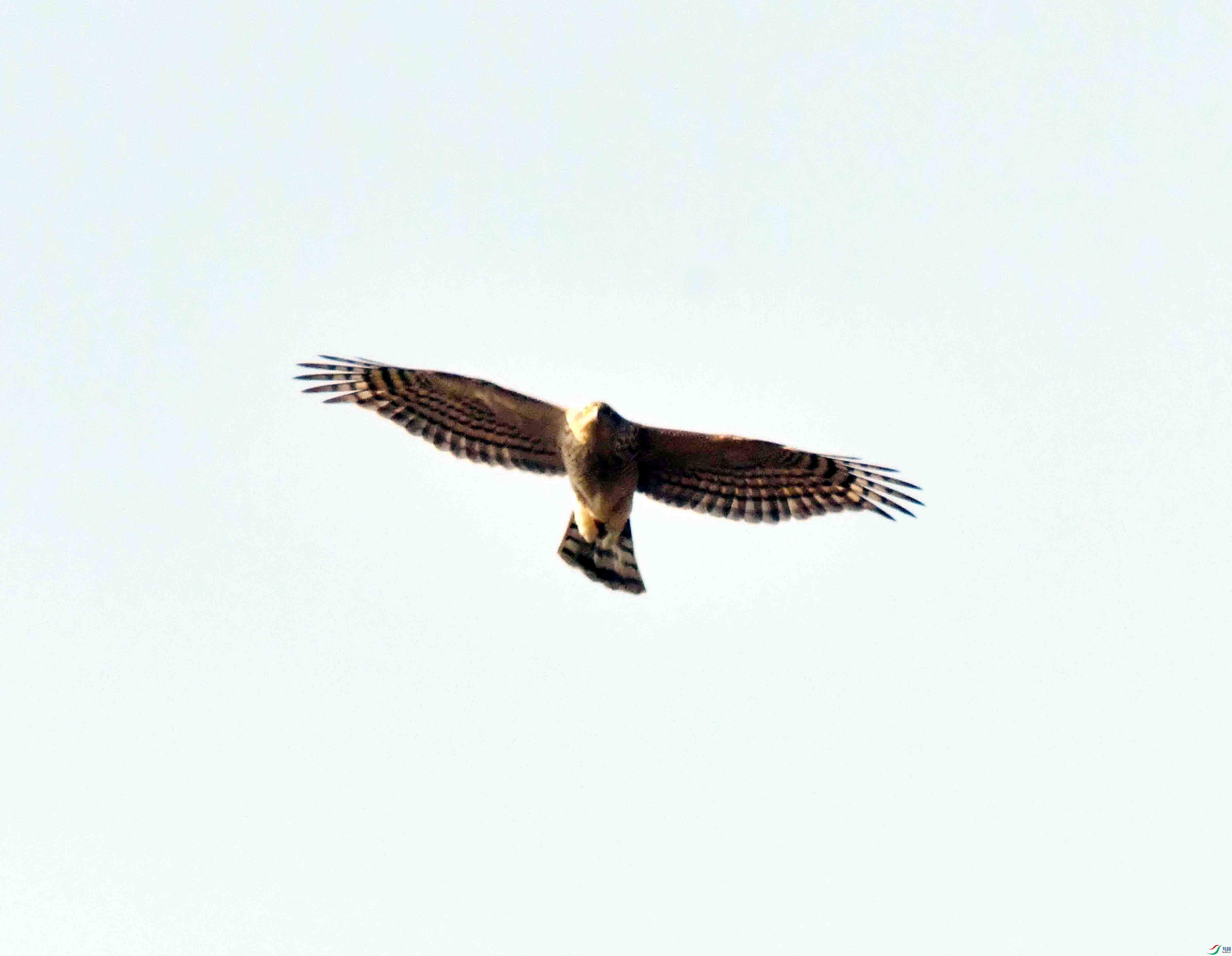 DSC_8428.JPG