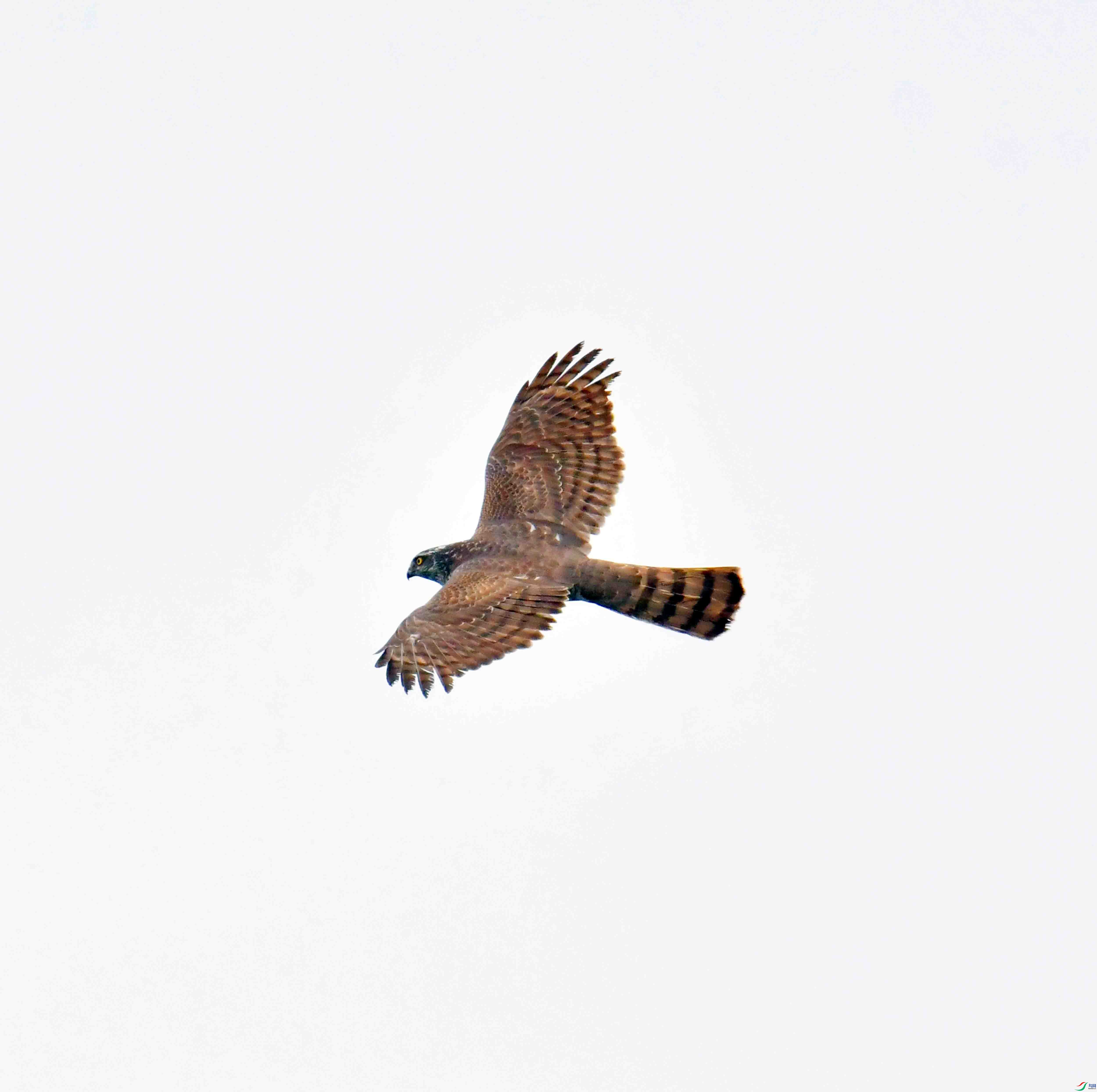 DSC_8825.JPG