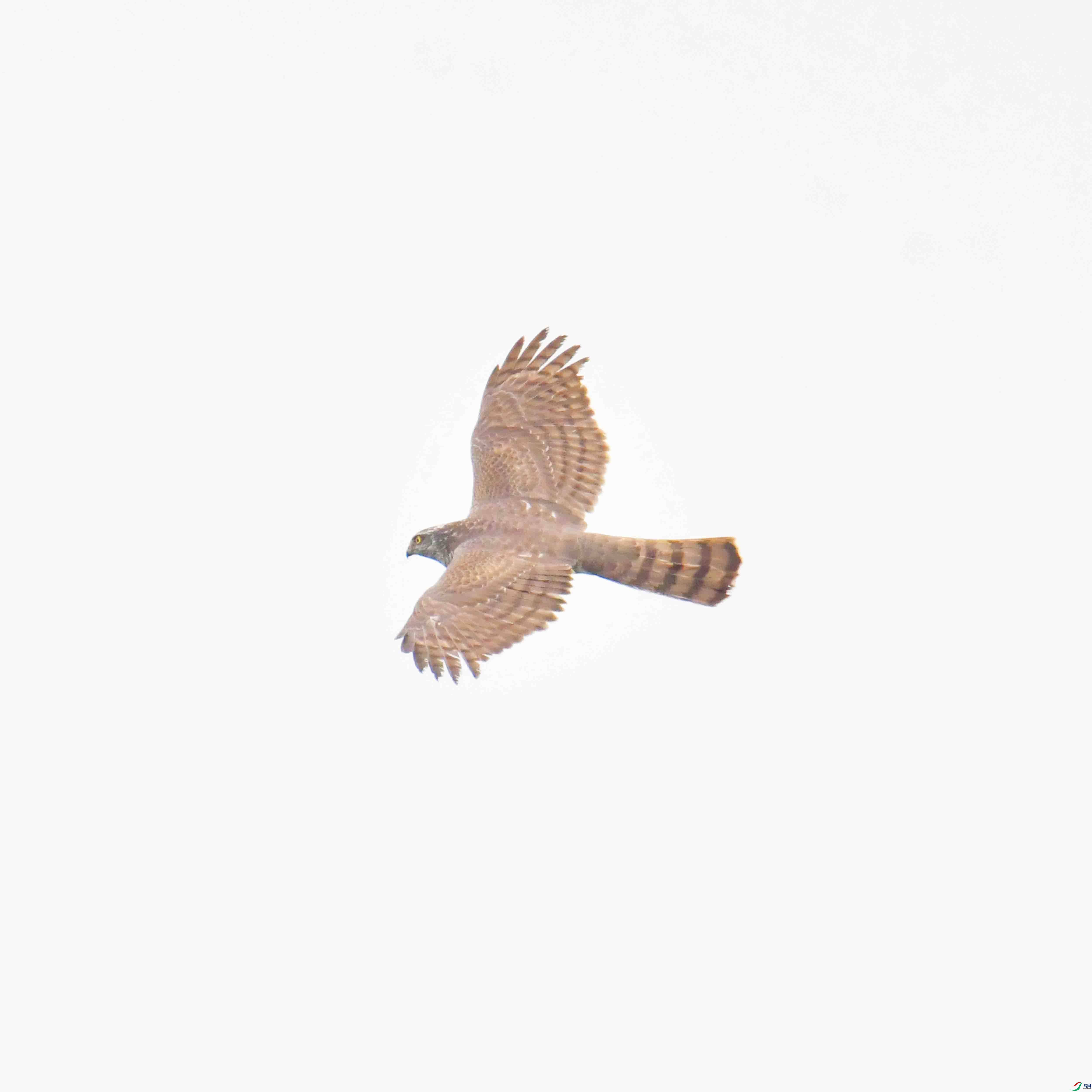 DSC_8826.JPG