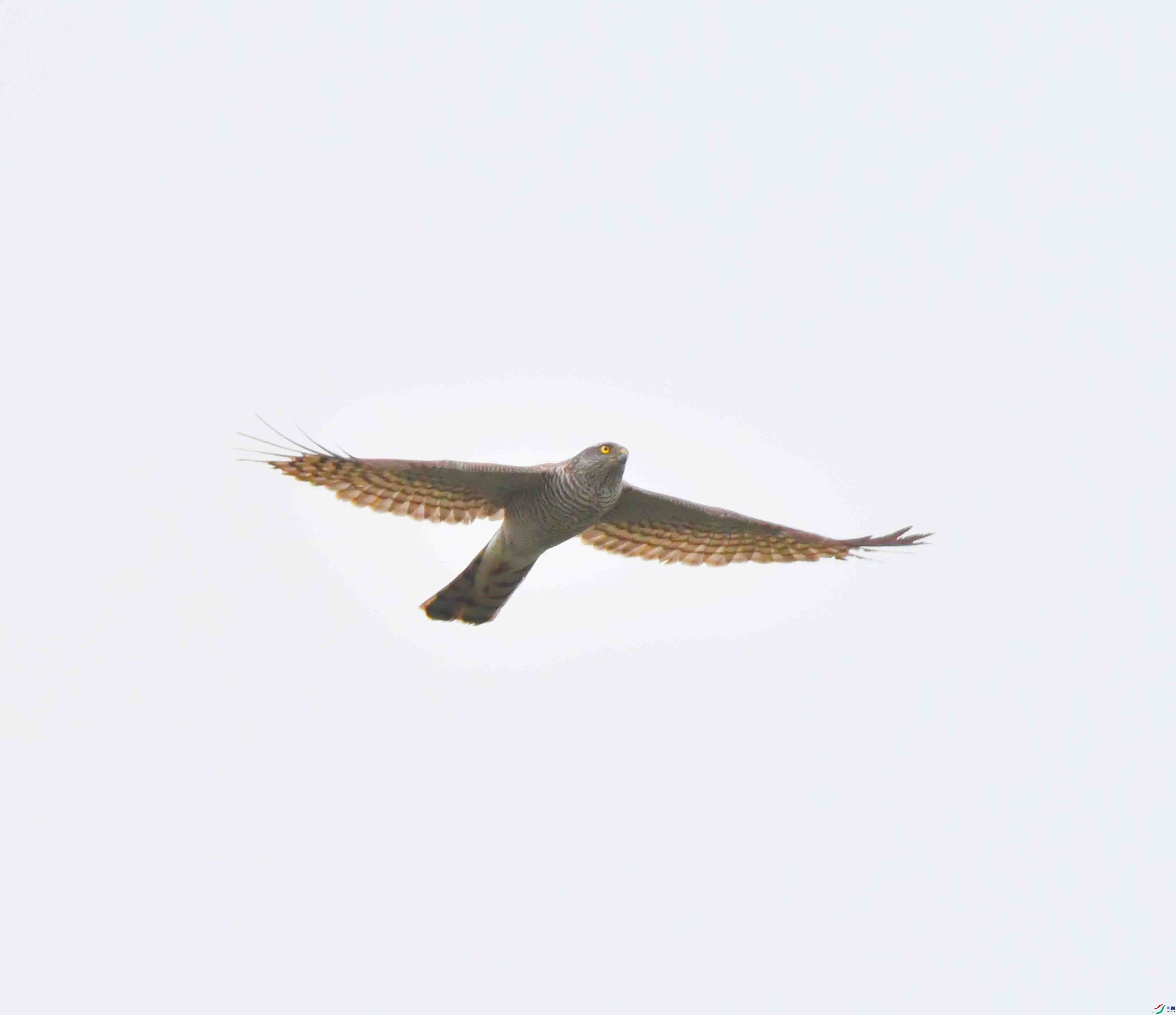 DSC_8840.JPG