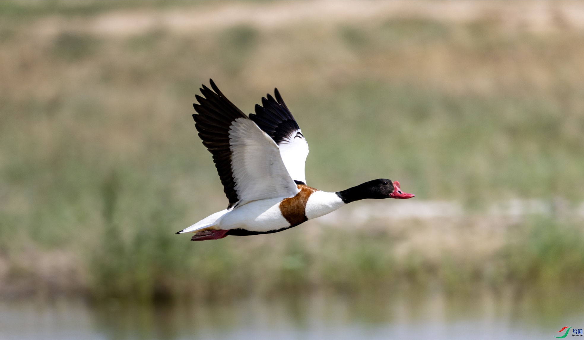 �̱���Ѽ225 ����.jpg