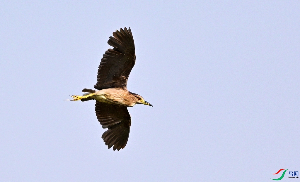 DSC_5387.JPG