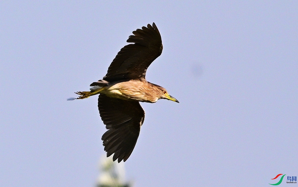 DSC_5389.JPG