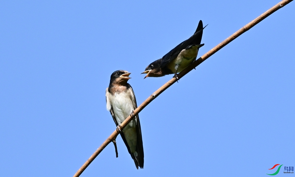 DSC_4642.JPG