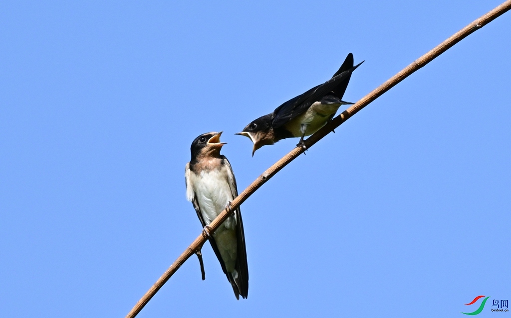 DSC_4647.JPG