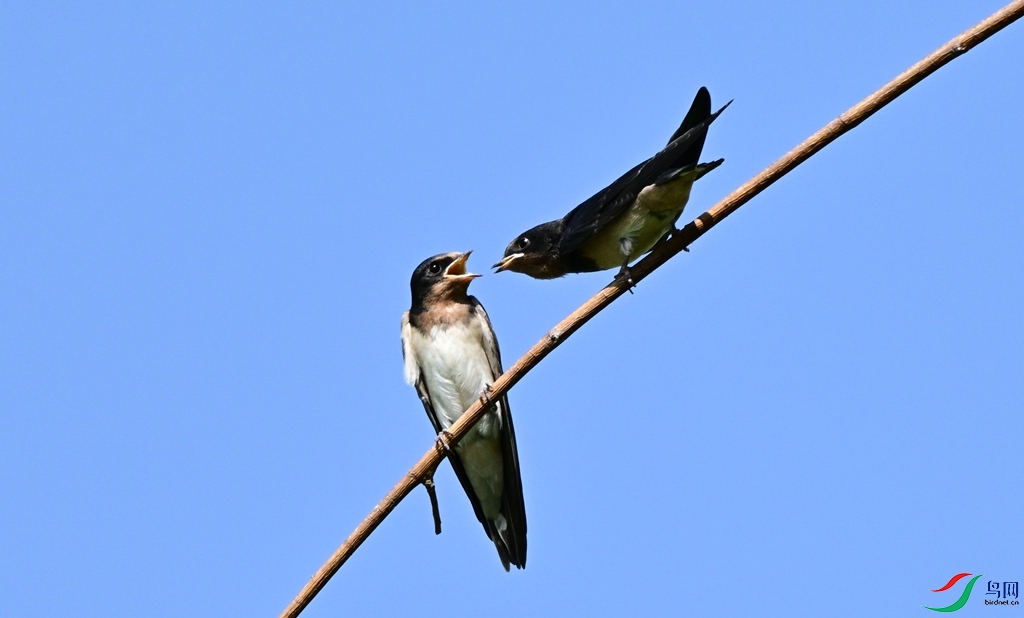 DSC_4648.JPG