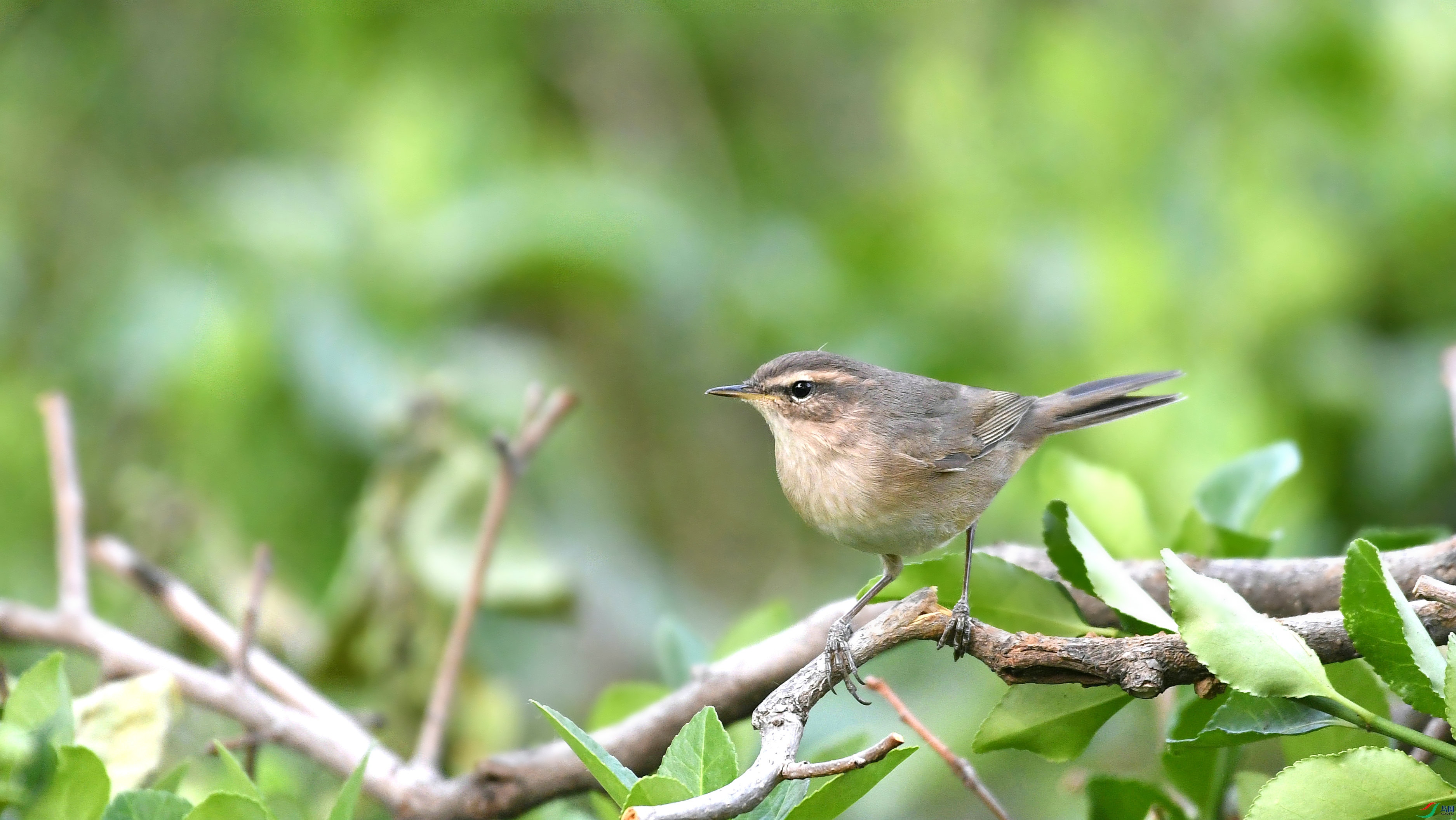 DSC_5545.JPG