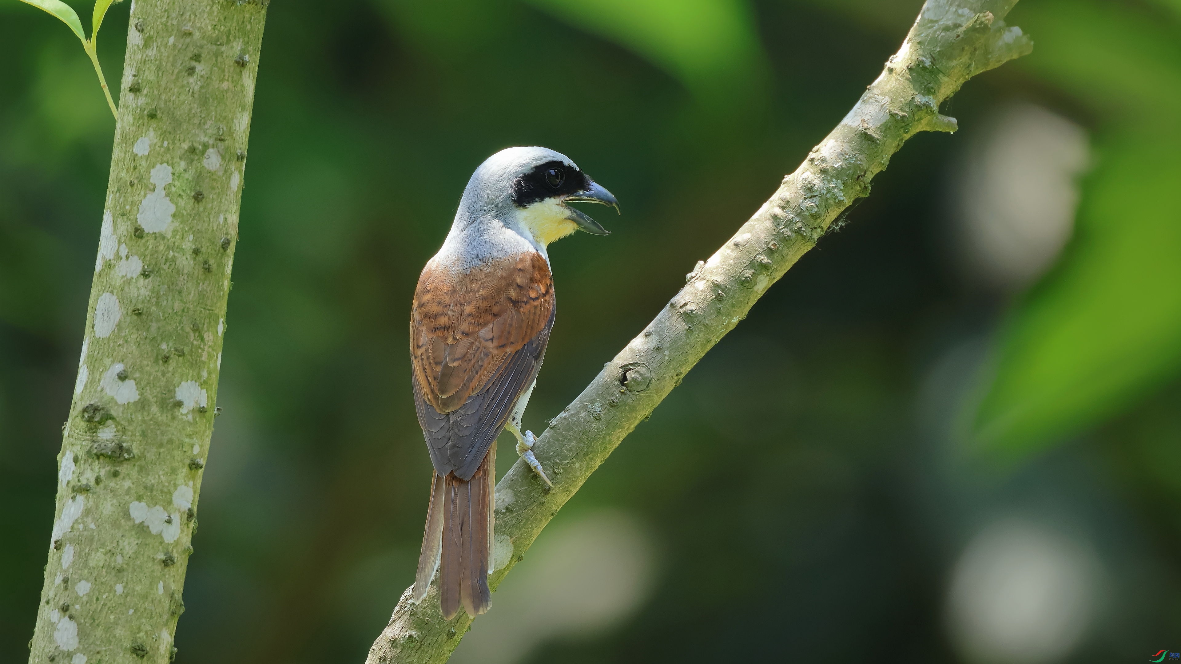 R10+811������������13��