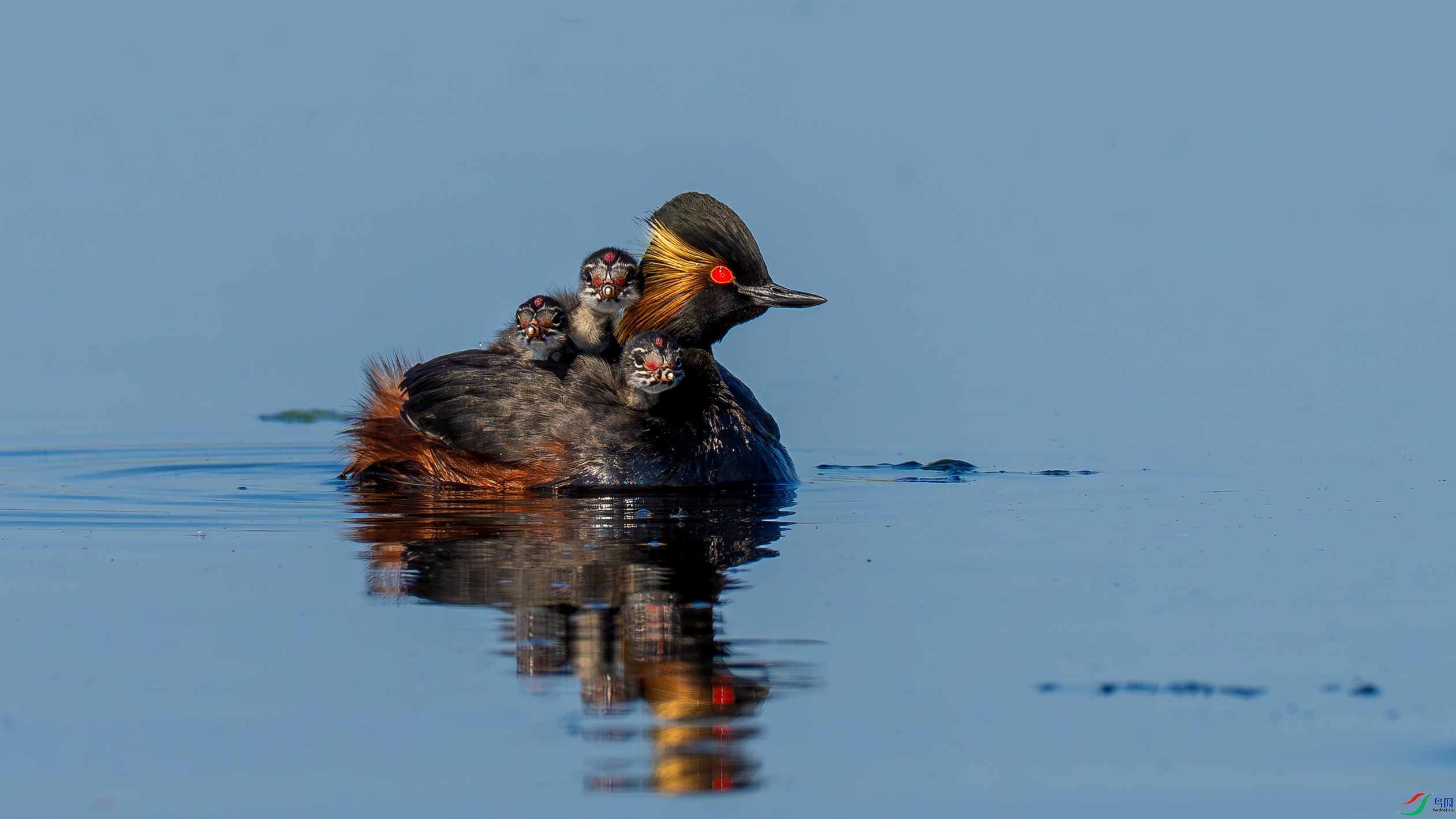 _DSC3430-.jpg