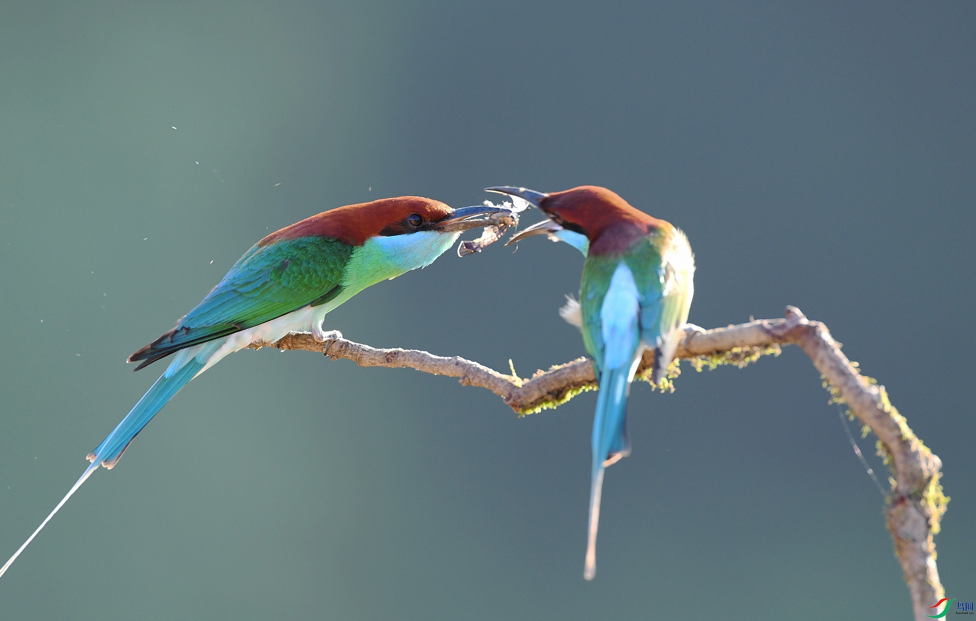 DSC_1107.jpg