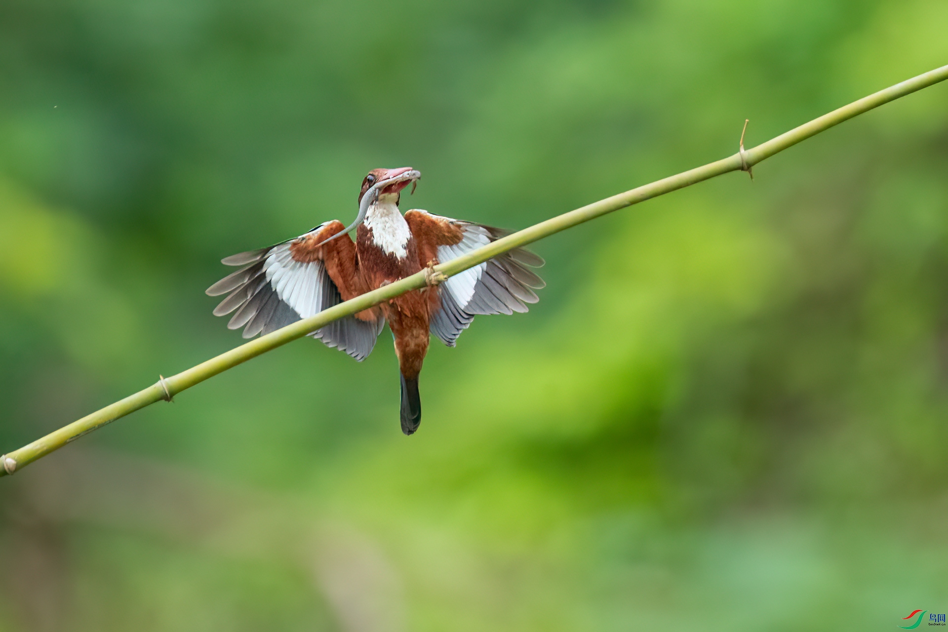 B86I0267 _����.jpg