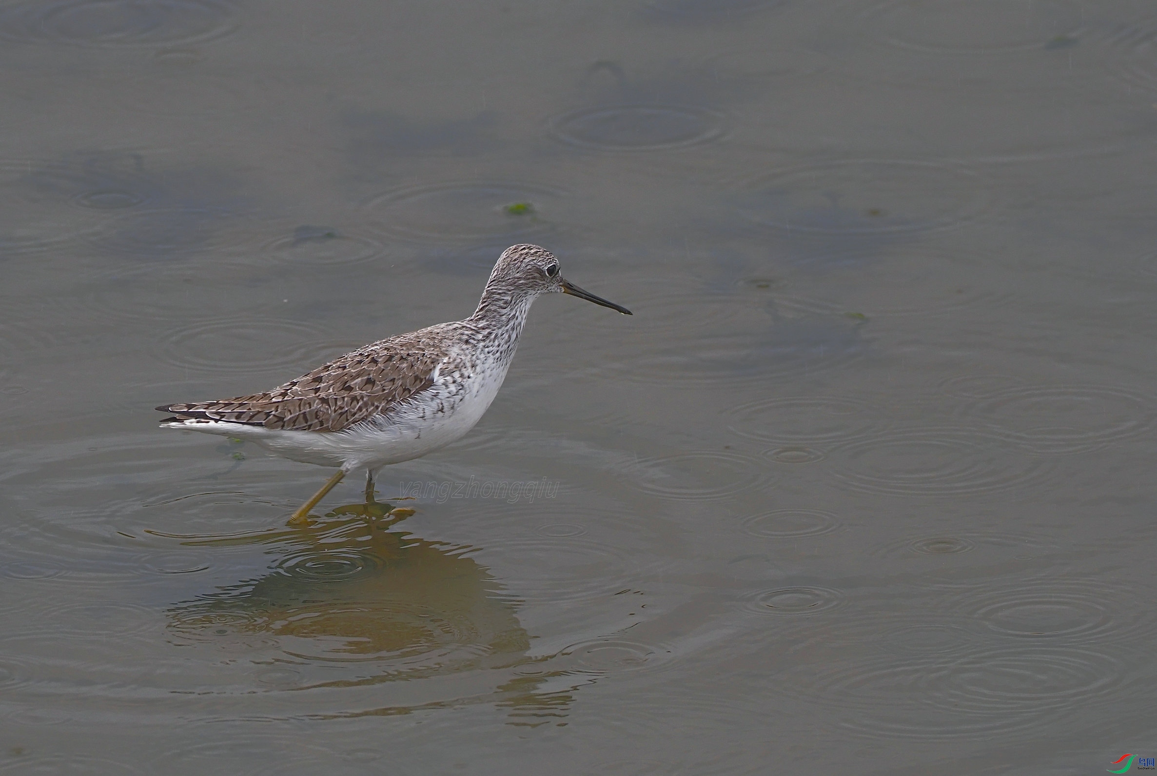 40 P5090133.jpg