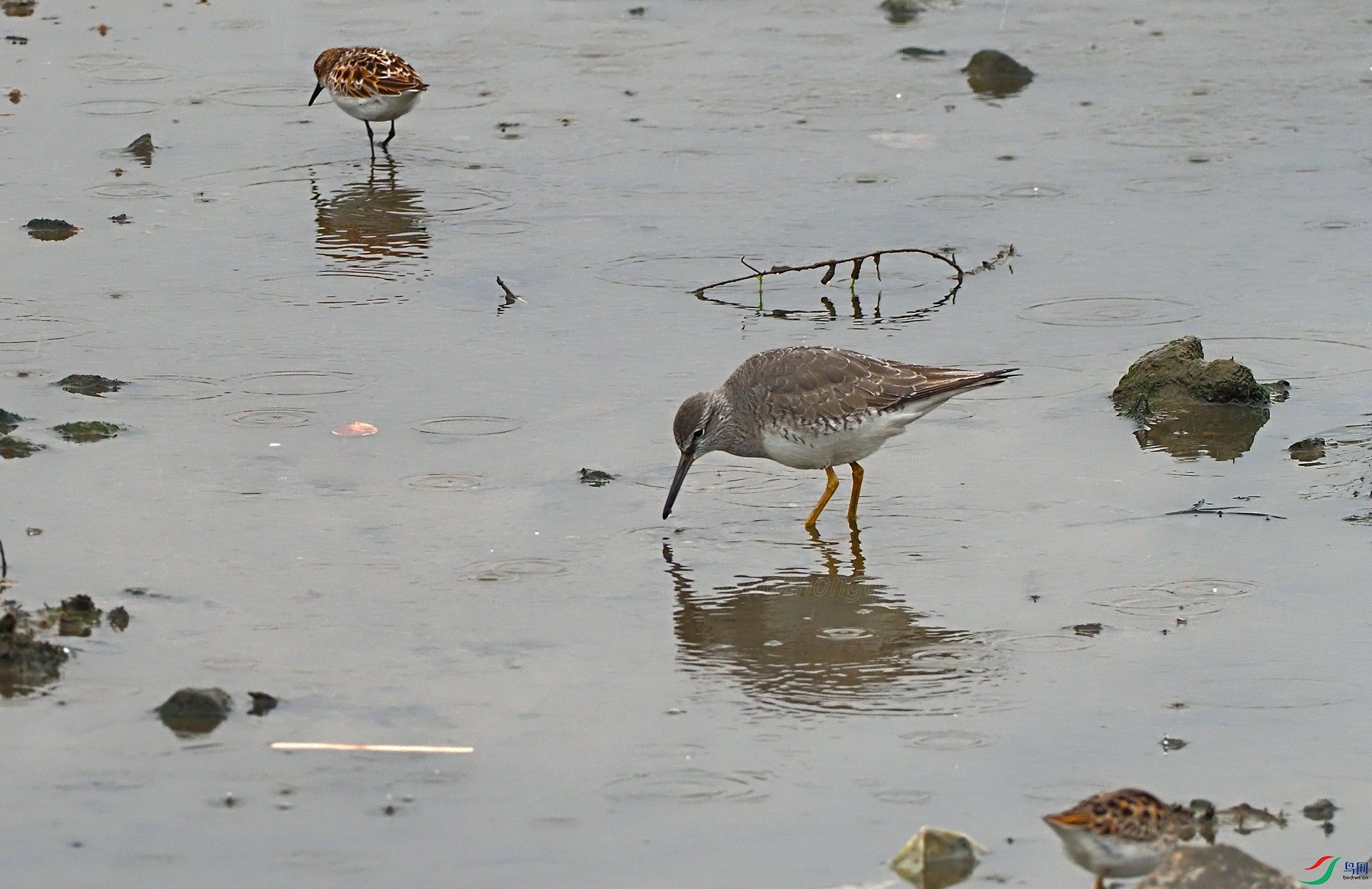 41 P5091630��βƯ��.jpg