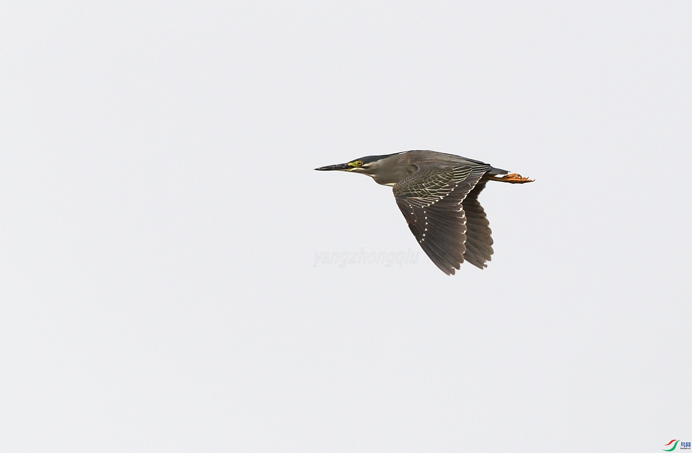 45 DSC_4860_.JPG